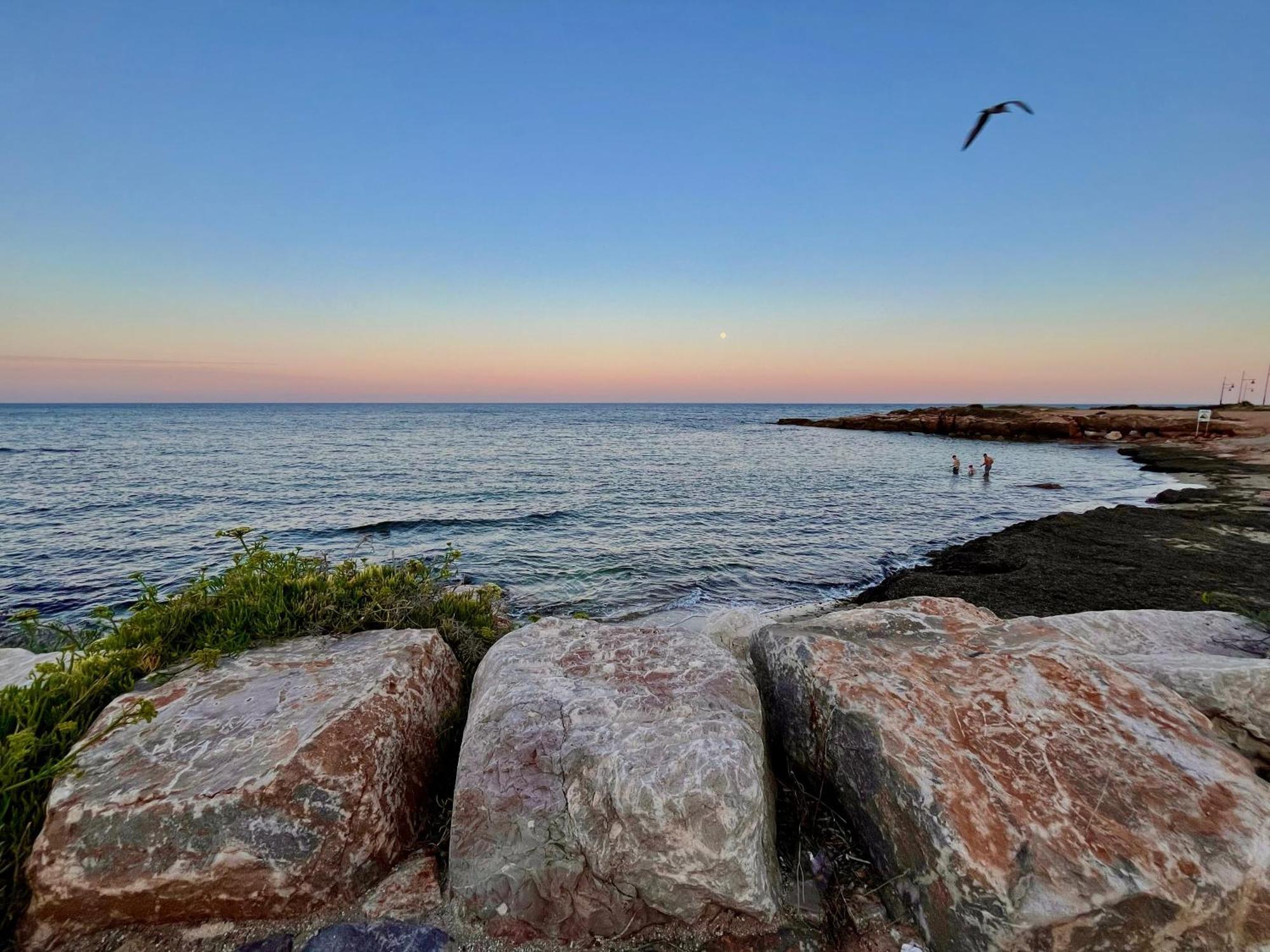 Sea View Apartment Beach Front Punta Prima Torrevieja Bagian luar foto